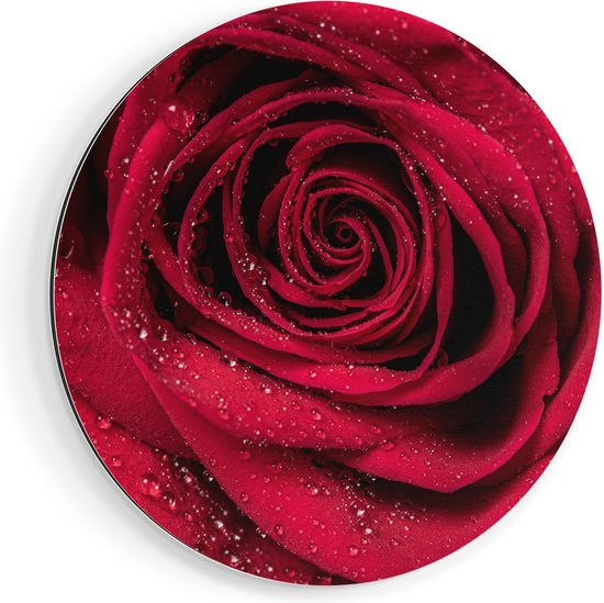 Artaza Dibond Muurcirkel Rode Roos Met Waterdruppels - Bloem - Ø 70 cm - Wandcirkel - Rond Schilderij - Voor Binnen en Buiten