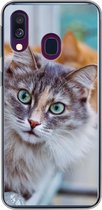 Geschikt voor Samsung Galaxy A40 hoesje - Kat - Raam - Katten - Siliconen Telefoonhoesje