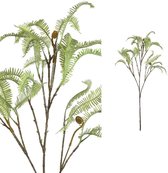 PTMD Leaves Plant Draak Varen Kunsttak - 50 x 39 x 100 cm - Groen