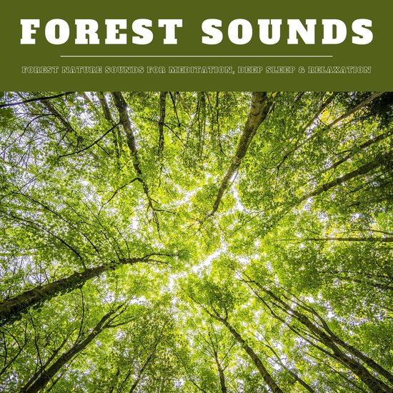 Forest Sounds: Forest Nature Sounds for Meditation, Deep Sle ... - cover
