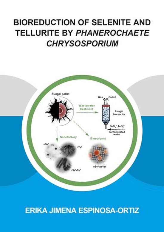 IHE Delft PhD Thesis Series - Bioreduction of Selenite and T ... - cover