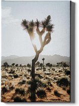 Walljar - Woestijn landschap - Muurdecoratie - Canvas schilderij