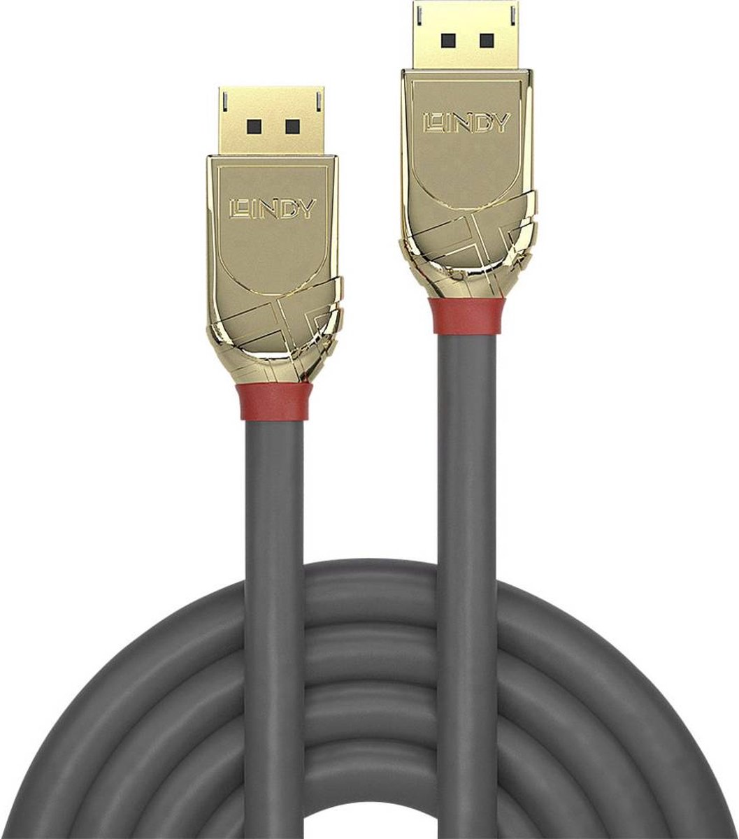 Lindy 41942.0 Câble convertisseur DisplayPort vers VGA 2 m Noir 