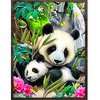 Eagle® Diamond Painting Volwassenen - Panda's - 40x30cm - Ronde Steentjes
