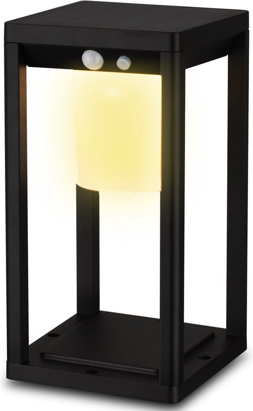MaxxGarden Tuinlamp - Solar tuinverlichting LED prikspot - bewegingssenor - 15x30cm