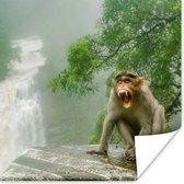 Poster Schreeuwende aap voor waterval - 50x50 cm