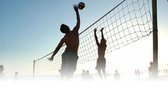 Ariko Sport Filet - Volley-ball - Badminton - Tennis - Beach volley - Filet - Zwart