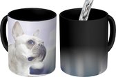 Magische Mok - Foto op Warmte Mok - Franse Bulldog - Wit - Poef - 350 ML