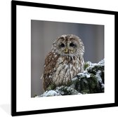Fotolijst incl. Poster - Een besneeuwde bosuil kijkt in de camera - 40x40 cm - Posterlijst