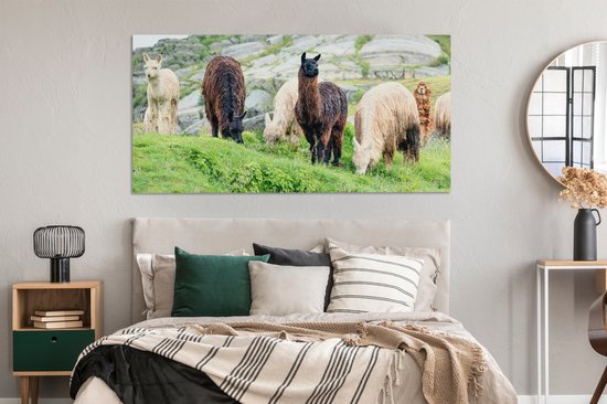 Tableau sur Toile Alpaga - Berg - Herbe - 160x80 cm - Décoration murale