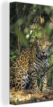 Tableau sur toile Jaguar caché dans la jungle - 20x40 cm - Décoration murale