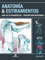 Estiramientos - Anatomía & Estiramientos
