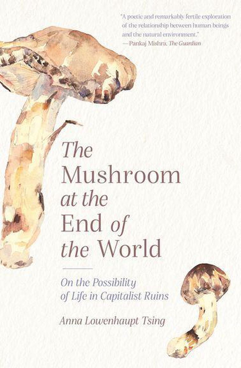 Omslag van The Mushroom at the End of the World