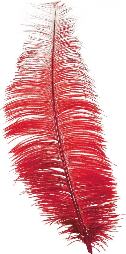 Fiestas Guirca Hoofdband Struisvogel Veren 30 Cm Rood