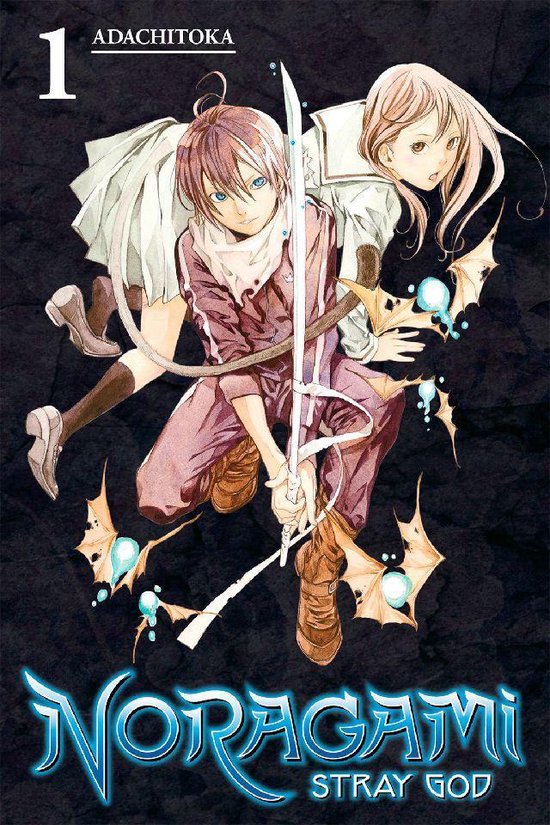 Noragami: Stray God 1 - Noragami: Stray God 1 - cover