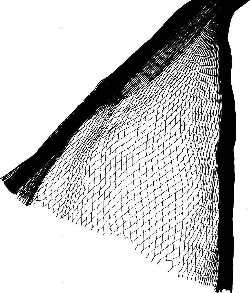 Zwartgroen Vogelnet 15 x 10 meter 15 mm maas