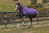 RelaxPets - Weatherbeeta - ComFiTec Plus Dynamic - Medium - Waterdicht - Vaste Hals - 220 gram - 195 cm