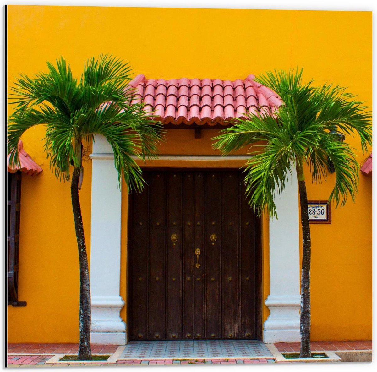 Dibond - Palmbomen bij de Voordeur - 50x50cm Foto op Aluminium (Met Ophangsysteem)