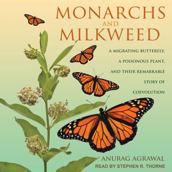 Monarchs and Milkweed - cover
