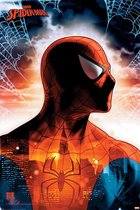 Pyramid Spider Man Protector of the City  Poster - 61x91,5cm