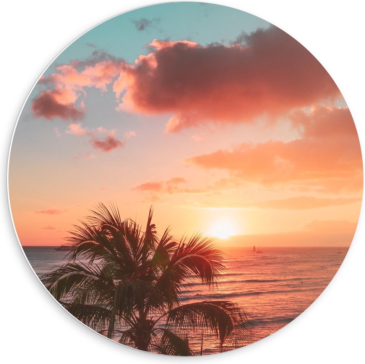 KuijsFotoprint Schilderij - Palmboom Bij Zonsondergang - Groen, Blauw En Roze - 60 X 60 Cm