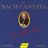Bach Kantate, Vol. 25