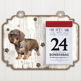 Scheurkalender 2023 Hond: Ruwharige tekkel