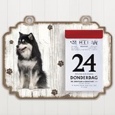 Scheurkalender 2023 Hond: Finse Lappenhond