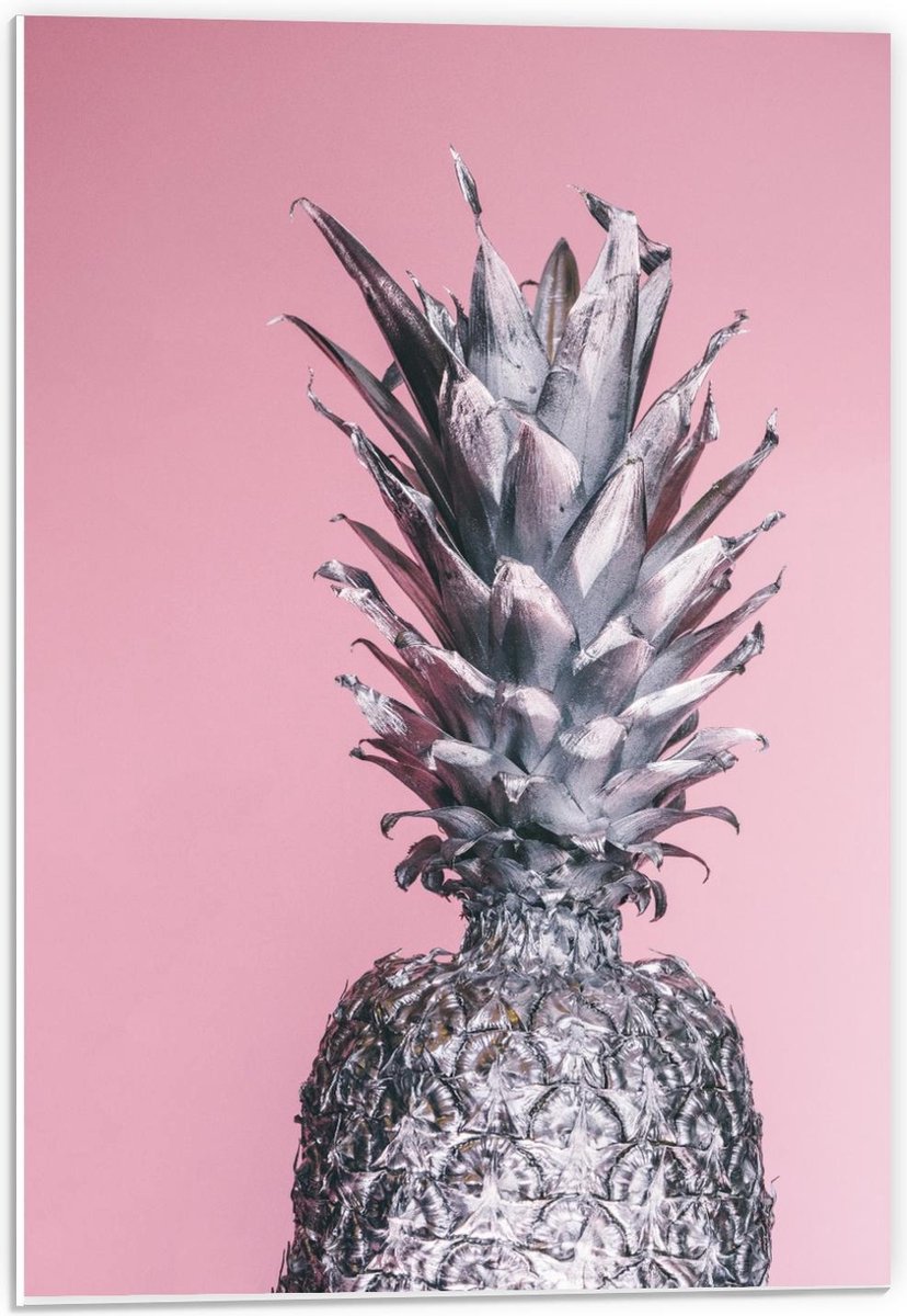 Forex - Zilveren Ananas op Roze Achtergrond - 40x60cm Foto op Forex