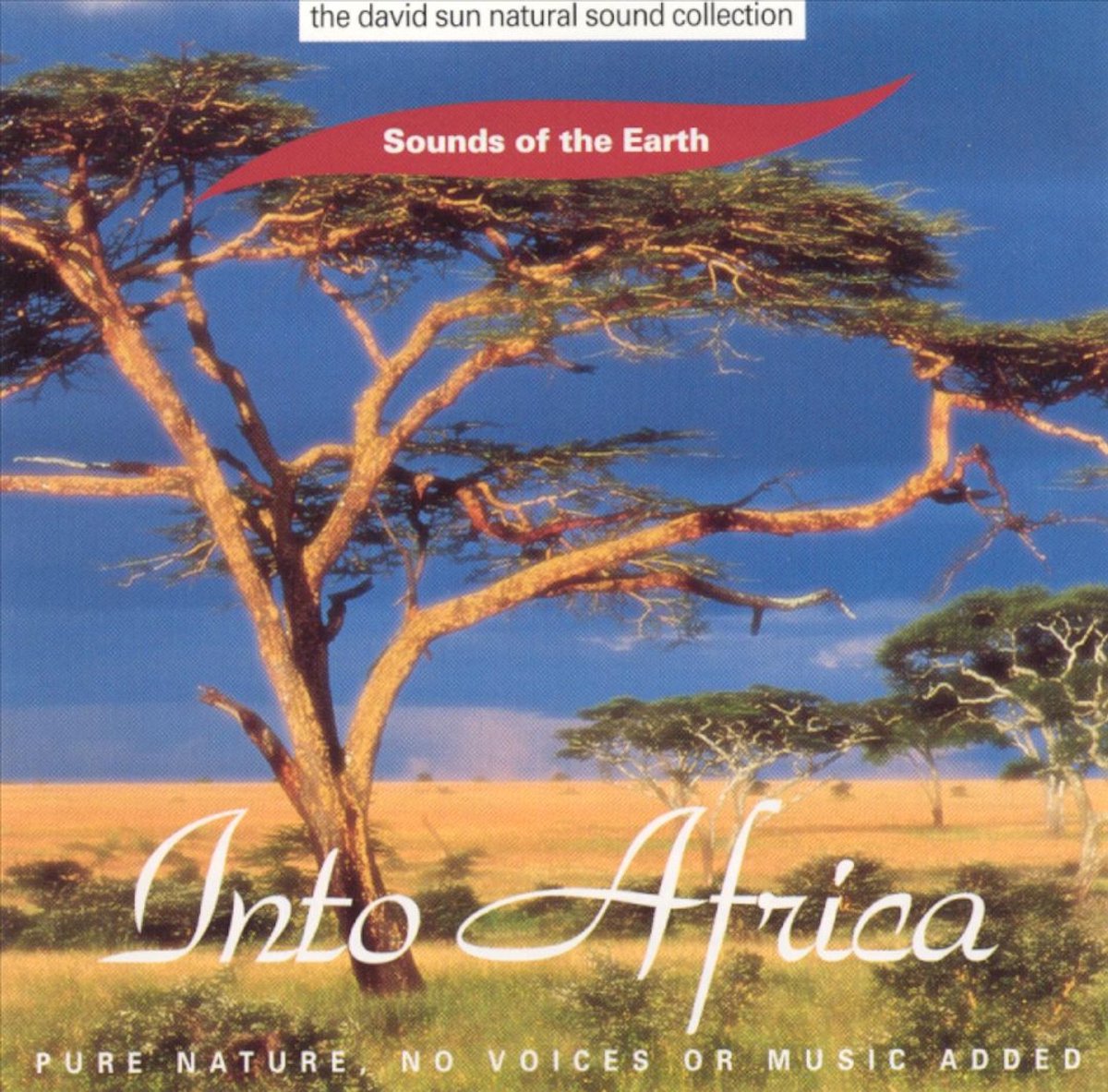 Into Africa
