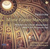 Palestrina: Missa Papæ Marcelli
