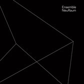 Bruno Strobl Ensemble Neuraum - Ensemble Neuraum (2 CD)