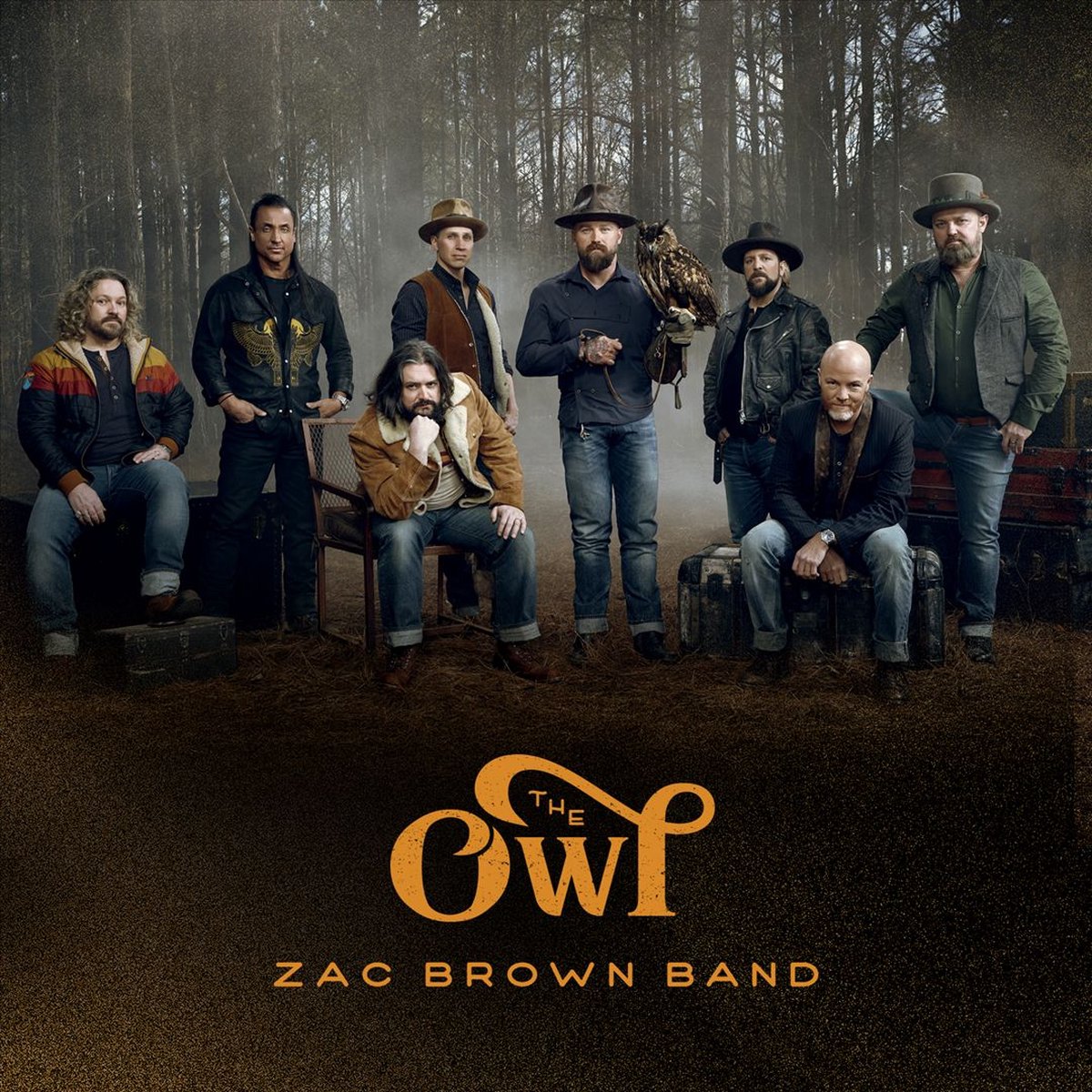 Afbeelding van product Owl (CD)  - Zac Band Brown