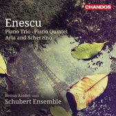 Schubert Ensemble - Chamber Works (CD)