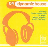 Dynamic House 4