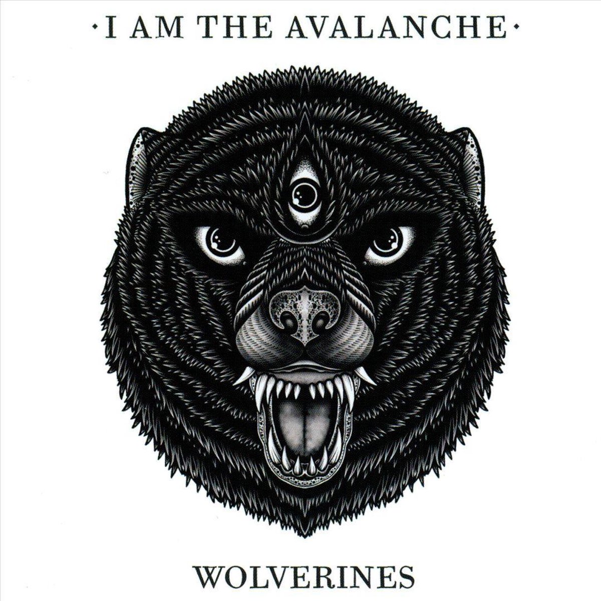 Wolverines