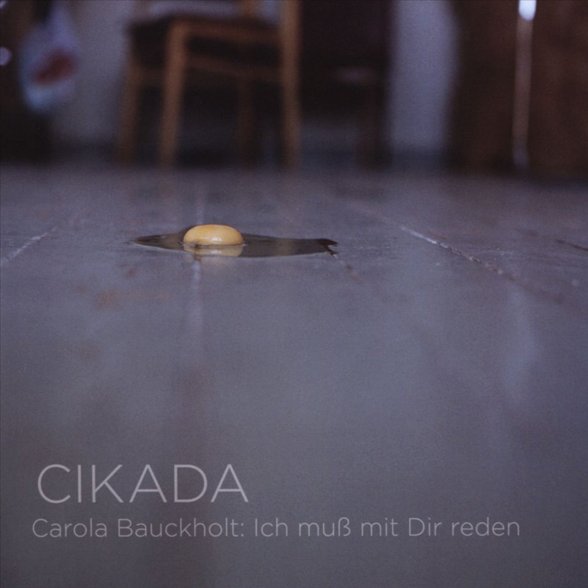 Carola Bauckholt: Ich Muß Mit Dir Reden