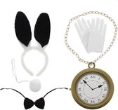 Zac's Alter Ego Kostuum Accessoire Set 5 Piece Alice in Wonderland Kit met zwart konijn Multicolours