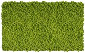 Stylegreen - Reindeer moss 100 x 60 CM