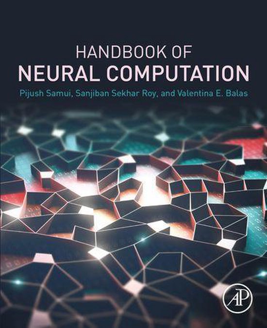 Handbook of Neural Computation - cover