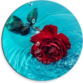 Dibond Wandcirkel - Rode Roos in Water - 30x30cm Foto op Aluminium Wandcirkel (met ophangsysteem)