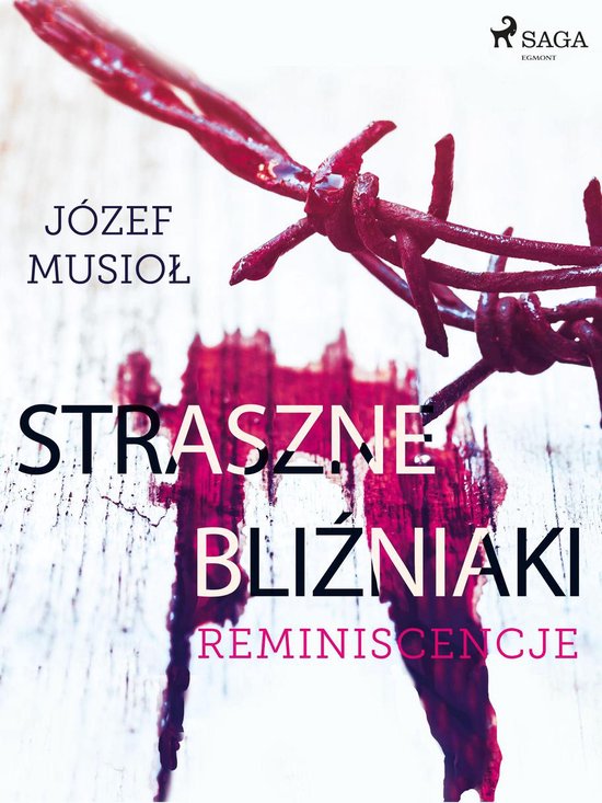 Straszne Bliźniaki. Reminiscencje - cover