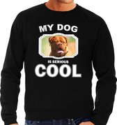 Franse mastiff honden trui / sweater my dog is serious cool zwart - heren - Franse mastiff liefhebber cadeau sweaters XL