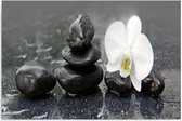 Schilderij - Zwarte Zen stenen en witte orchidee, inspiratie