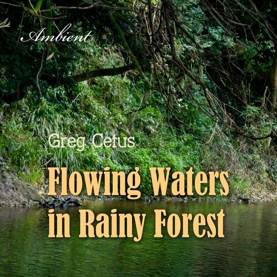Flowing Waters in Rainy Forest - cover
