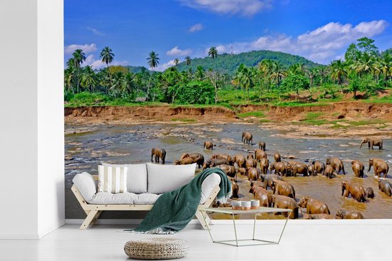 Vinyle Papier peint photo - Un groupe d'éléphants se baigner dans le flux Ma Oya dans Pinnawala sur Ceylan largeur 525 cm x hauteur 350 cm - impression sur le papier peint photo (disponible en 7 tailles)