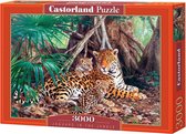 Jaguars in the jungle (limited distribution!) Legpuzzel 3000 stukjes