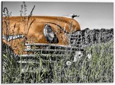 Dibond - Gele Retro Auto in het Gras - 40x30cm Foto op Aluminium (Wanddecoratie van metaal)