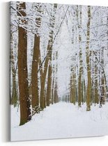 Schilderij - Winter Forest — 70x100 cm