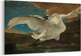 Schilderij - De bedreigde zwaan — 100x70 cm